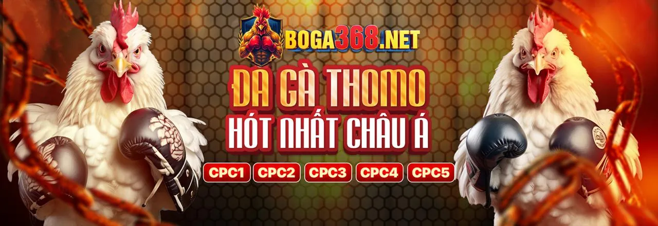 Đá Gà Trực Tuyến Hấp Dẫn tại by88club